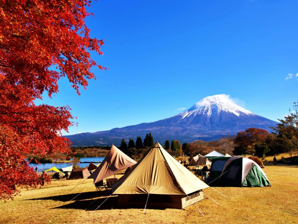 季節ごとの楽しみ方